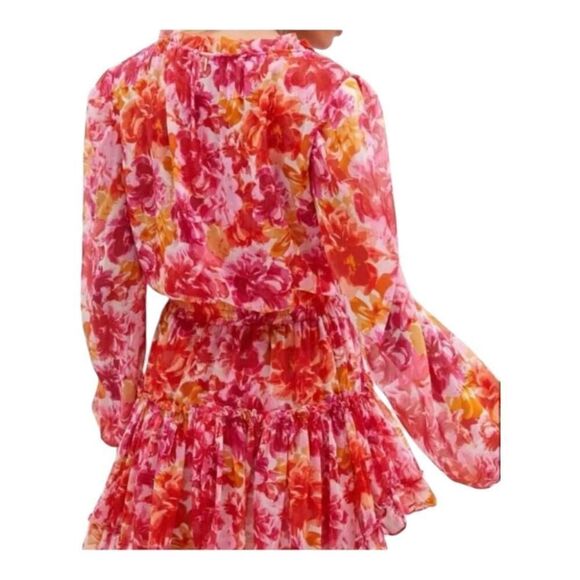 MISA Los Angeles Clementine Ruffled Floral Mini Dress - Picture 6 of 16